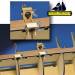 Hull Planking Clamp (6)
